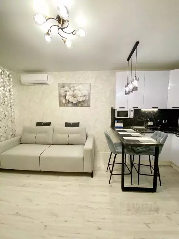 Студия Московская область, Домодедово городской округ, с. Домодедово ... - Фото 1