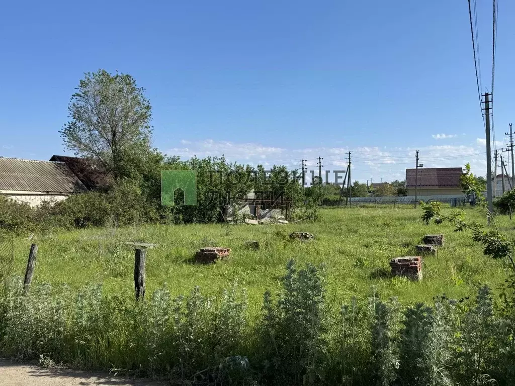 Участок в Саратовская область, Воскресенский район, Елшанское ... - Фото 0