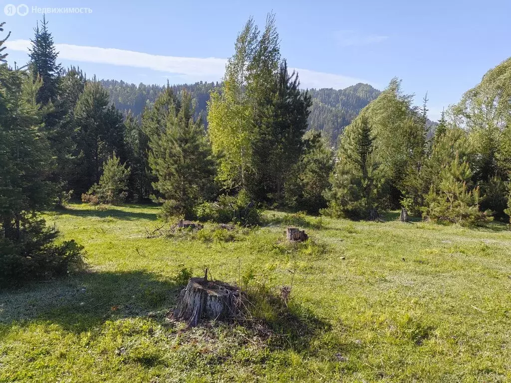 Участок в село Турочак, Зелёная улица (10 м) - Фото 2