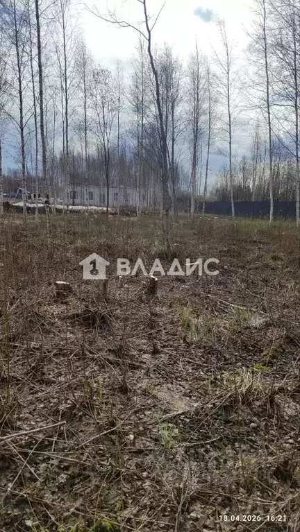 Участок в Санкт-Петербург, Санкт-Петербург, Павловск ул. Мичурина (8.7 ... - Фото 2