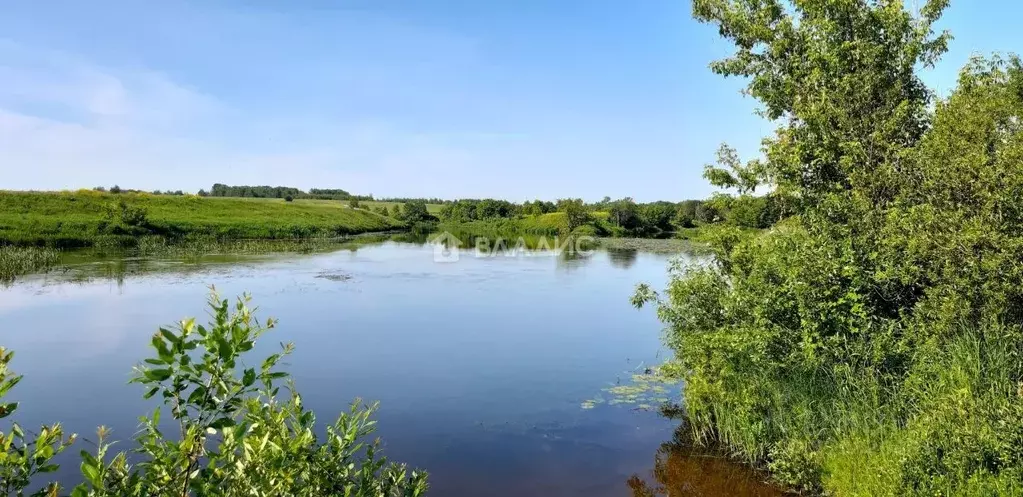 Участок в Владимирская область, Суздальский район, Селецкое ... - Фото 0