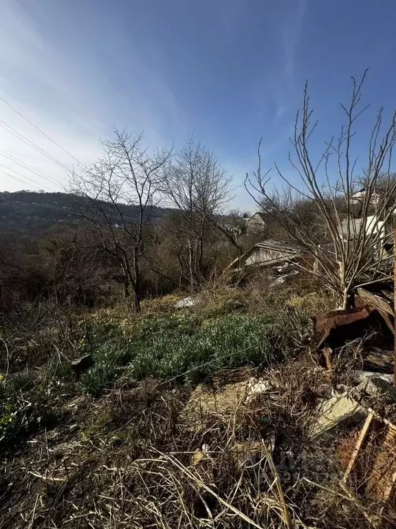 Участок в Краснодарский край, Сочи Целинная ул., 81 (16.0 сот.) - Фото 2