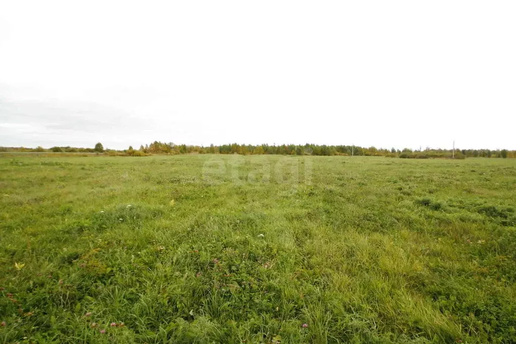Участок в Тюменская область, Ялуторовский муниципальный округ, СОНТ ... - Фото 2