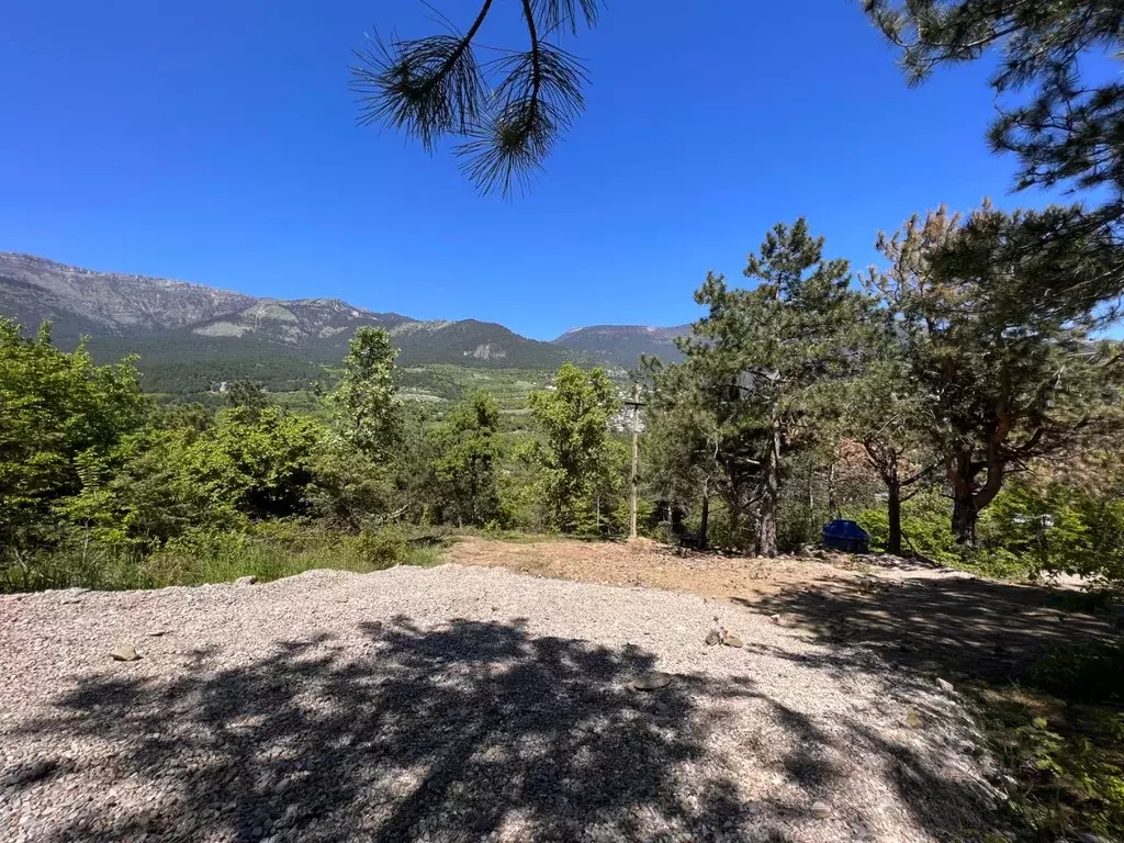 Ялта. Участковые ялты. Продам участок ялта. Ялта земля. Участок под ижс в ялте.