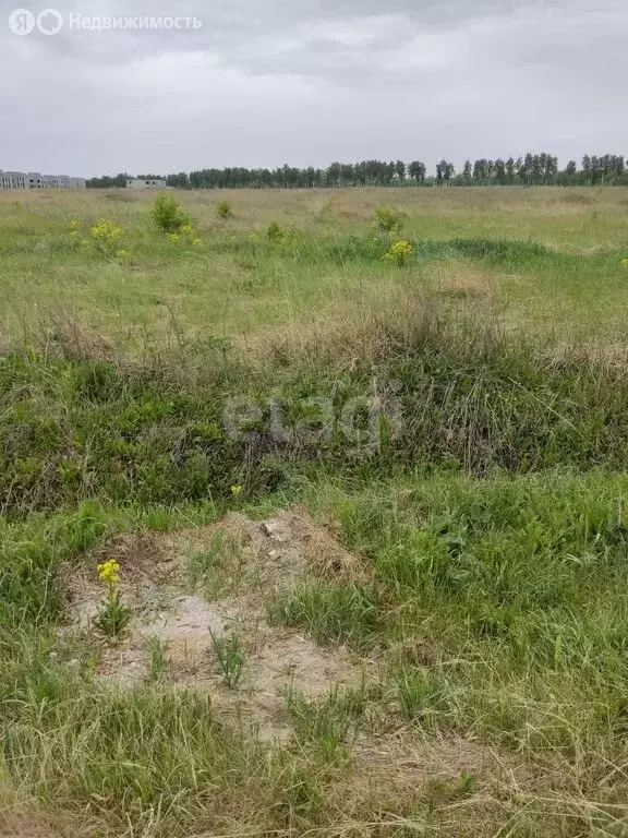 Участок в Мокшанский район, Рамзайский сельсовет, село Рамзай (18.4 м) - Фото 1