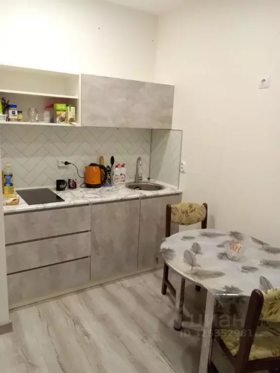 Студия Пермский край, Пермь ул. Шмидта, 56Б (26.0 м) - Фото 1