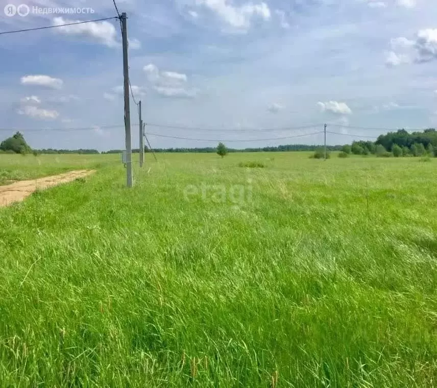 Участок в Елизаветинское сельское поселение, хутор Колузаево, улица ... - Фото 1