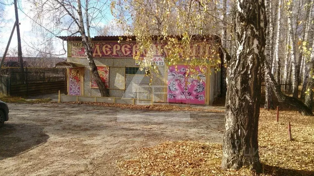 Торговая площадь в Челябинская область, Чебаркульский район, д. ... - Фото 0