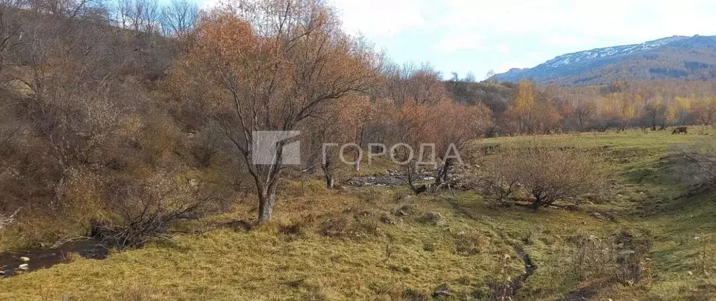Участок в Алтайский край, Солонешенский район, с. Тележиха ул. Петра ... - Фото 2