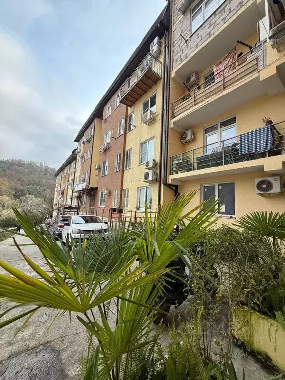 Студия Краснодарский край, Сочи Теневой пер., 3Б (24.0 м) - Фото 1