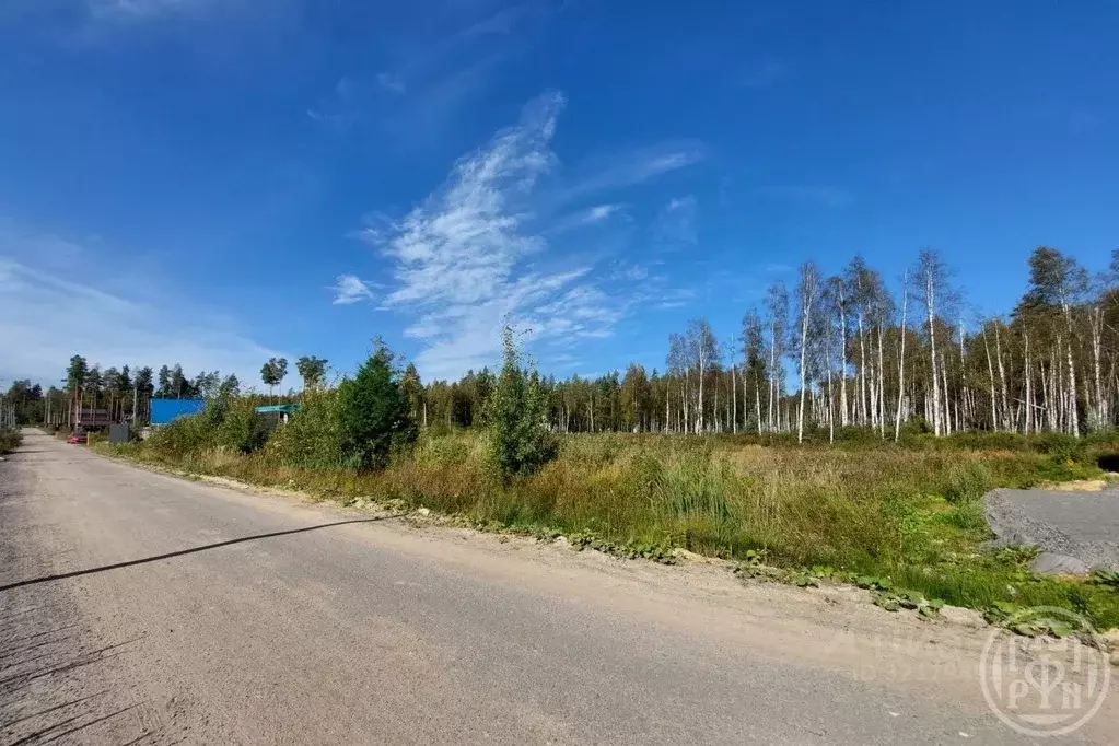 Участок в Ленинградская область, Всеволожский район, Токсовское ... - Фото 1