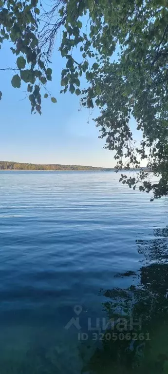 Участок в Ленинградская область, Выборгский район, Приморское ... - Фото 0