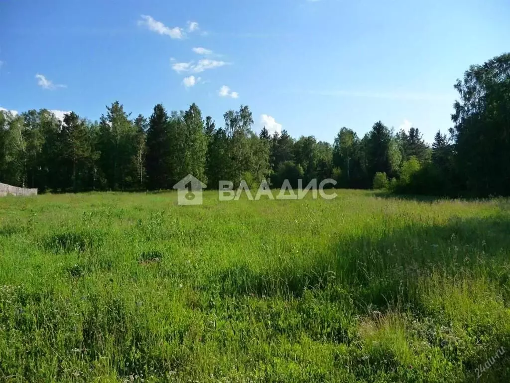 Участок в Новосибирская область, Новосибирский район, Кубовинский ... - Фото 0