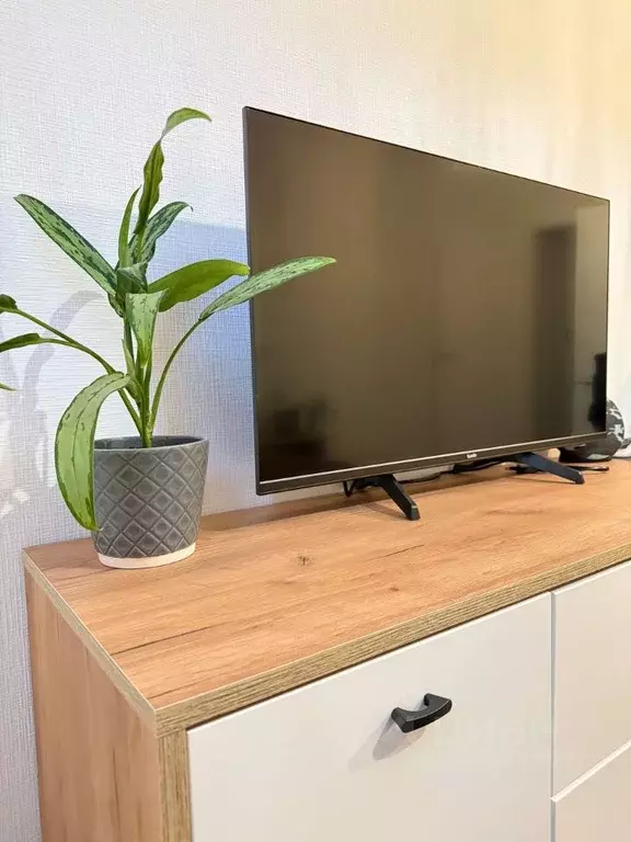 Студия Санкт-Петербург ул. Пахомовская, 14к2 (21.0 м) - Фото 1