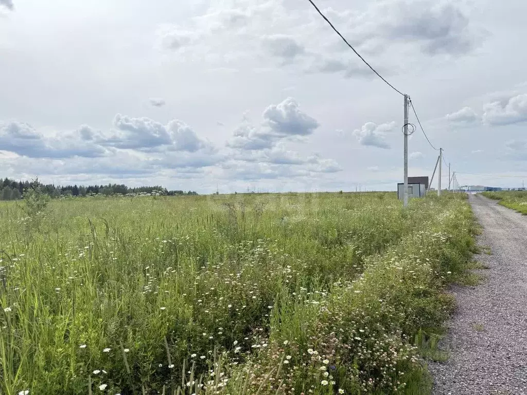 Участок в Калужская область, Боровский муниципальный округ, Ворсино ... - Фото 1