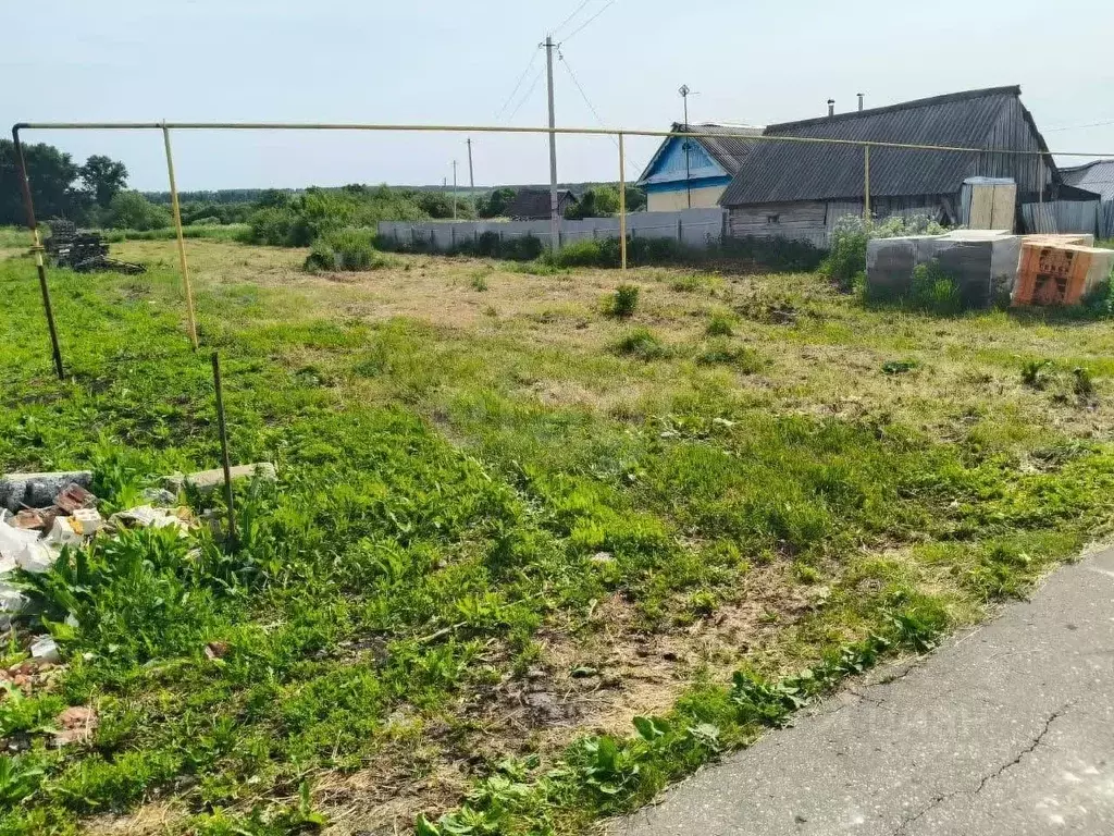 Участок в Мордовия, Саранск городской округ, с. Напольная Тавла ул. ... - Фото 2