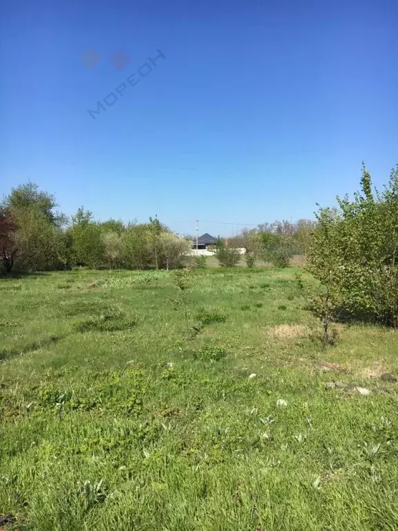 Участок в Краснодарский край, Динская ст-ца, Дачник ДНТ ул. Розовая, ... - Фото 0