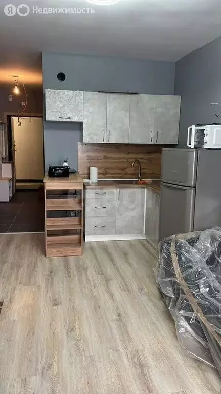 Квартира-студия: деревня Анкудиновка, Черкесская улица, 17 (27.4 м) - Фото 2