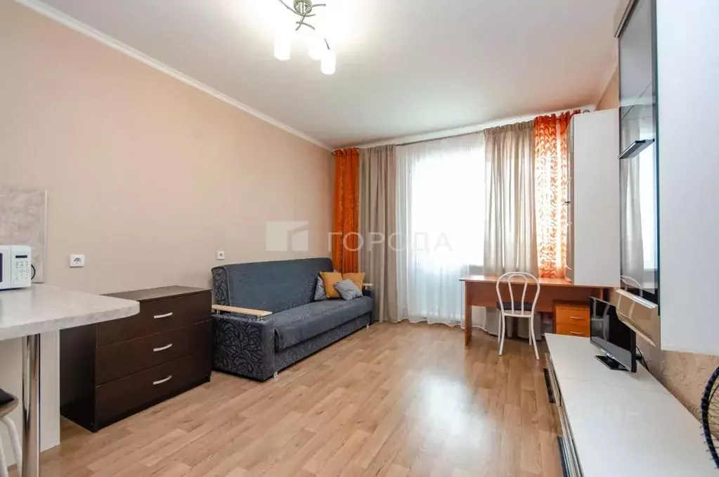 1-к кв. Новосибирская область, Новосибирск ул. Фрунзе, 49/1 (30.0 м) - Фото 0