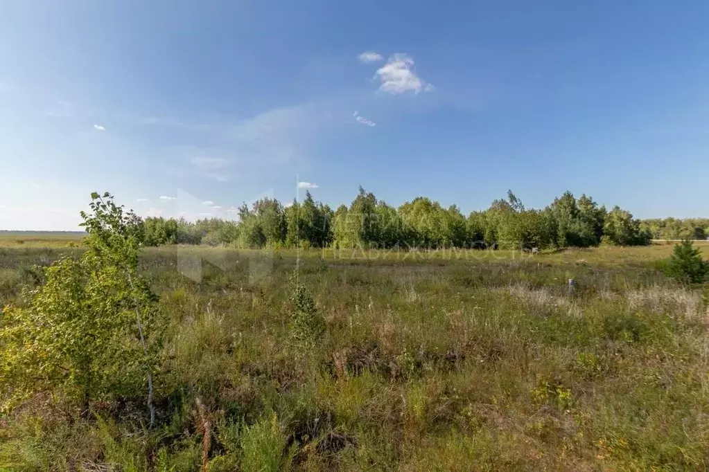 Участок в Тюменская область, Тюмень  (8.1 сот.) - Фото 0