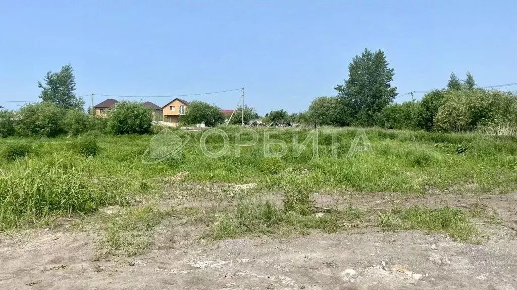 Участок в Тюменская область, Тюмень Луч СНТ, ул. Солнечная (5.07 сот.) - Фото 1