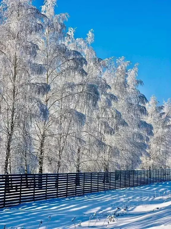 Участок в Московская область, Серпухов городской округ, с. Липицы ул. ... - Фото 2