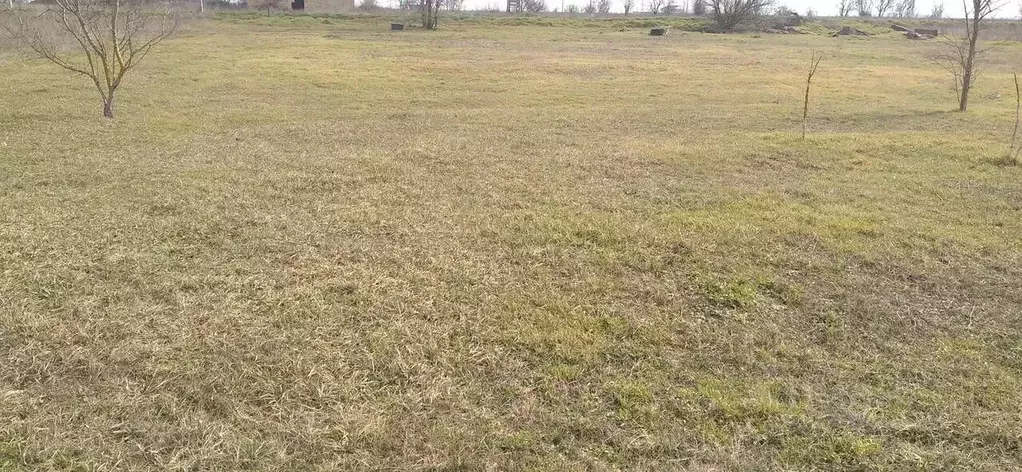 Участок в Крым, Симферопольский район, Чистенское с/пос, с. Камышинка  ... - Фото 1