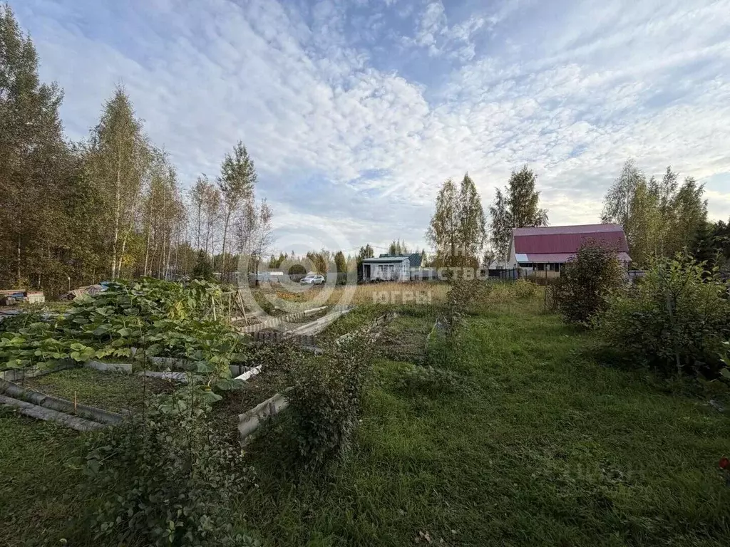 Участок в Ханты-Мансийский АО, Ханты-Мансийск Стоматолог СОТ, 13 (15.0 ... - Фото 2
