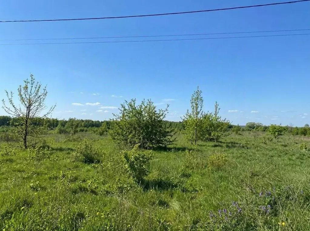 Участок в Белгородская область, Алексеевка Нижняя ул. (15.0 сот.) - Фото 1