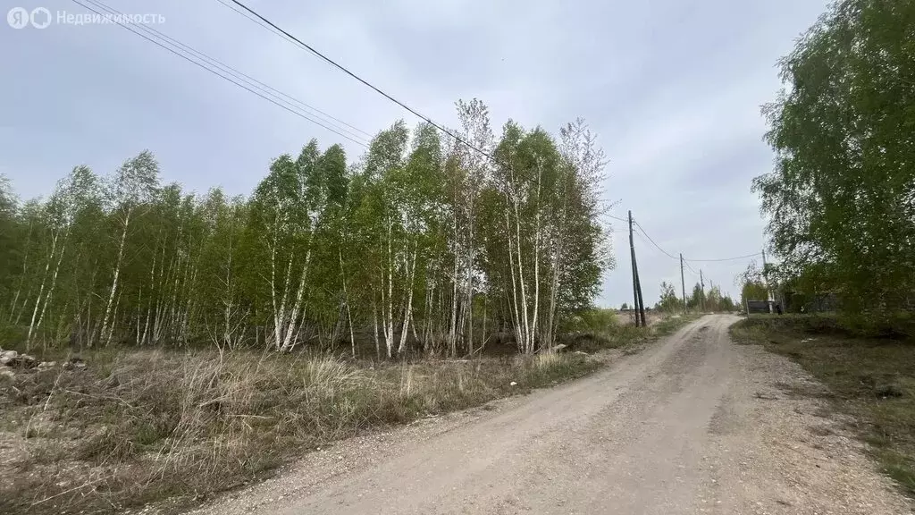 Участок в Иркутский муниципальный округ, ДНТ Прибрежное (10 м) - Фото 2