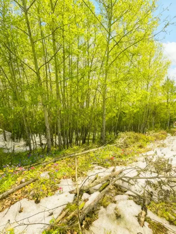 Участок в Иркутская область, Иркутский муниципальный округ, ... - Фото 1