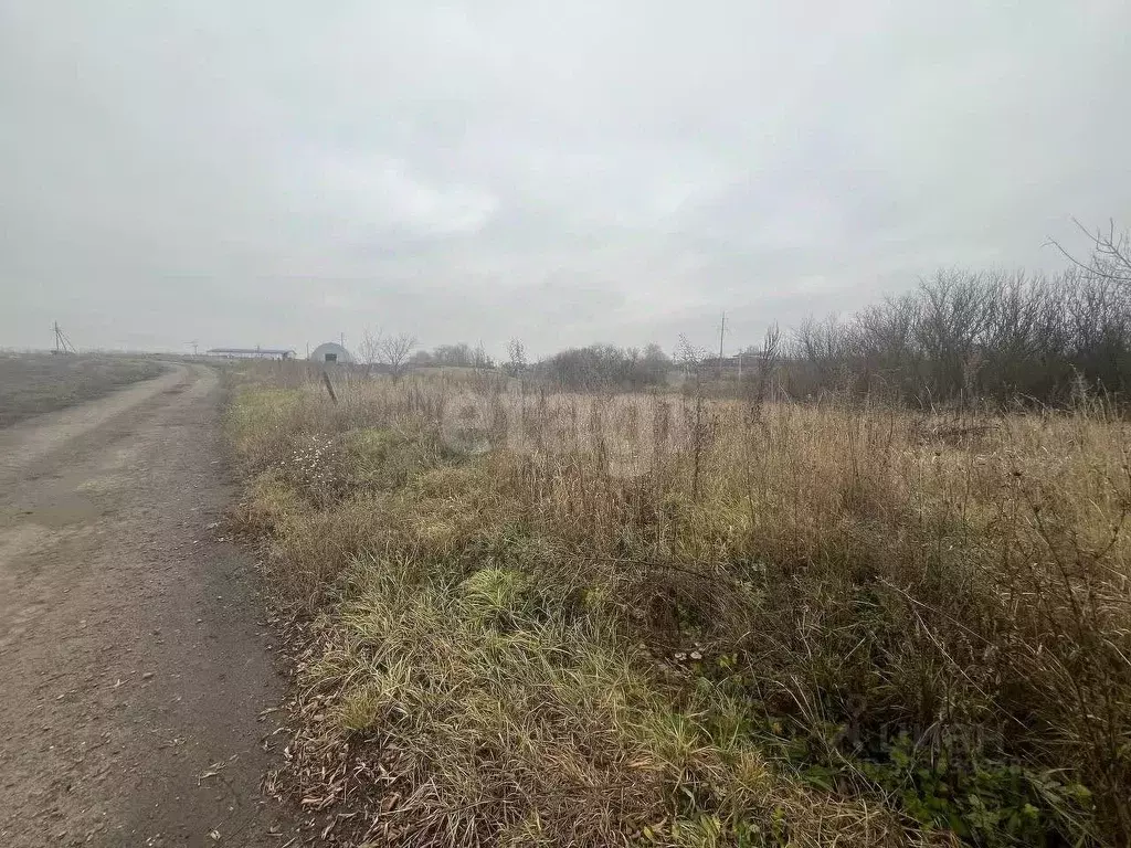 Участок в Белгородская область, Белгородский район, с. Стрелецкое, с. ... - Фото 2