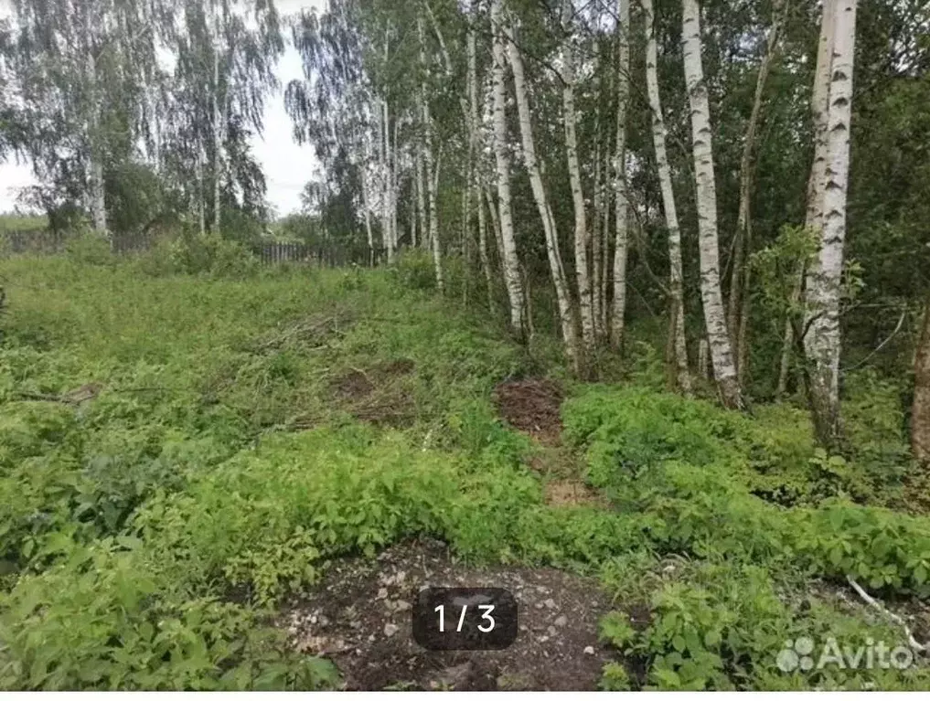 Участок в Московская область, Шатура Молодежная ул. (6.0 сот.) - Фото 1