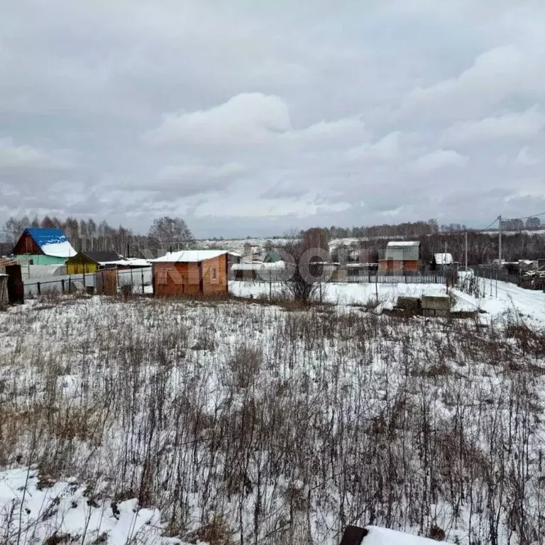 Участок в Новосибирская область, Искитимский район, Морозовский ... - Фото 1