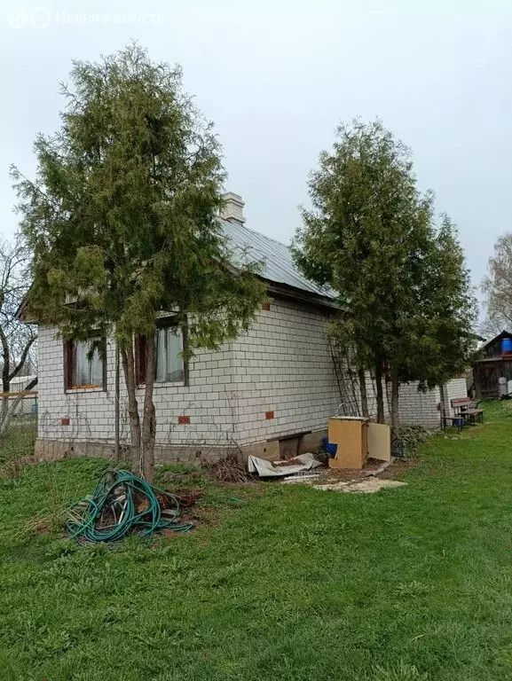 Дом в деревня Лампово, Центральная улица, 65А (29.4 м) - Фото 0