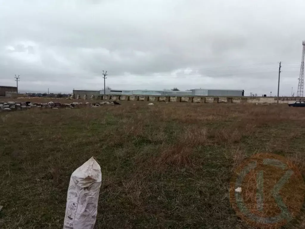 Участок в Крым, Черноморский район, с. Межводное ул. Парковая, 31 ... - Фото 2