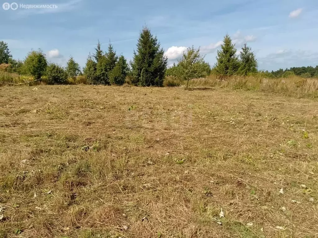 Участок в Галич, улица Ивана Бирцева (9.6 м) - Фото 2