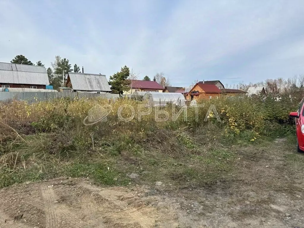 Участок в Тюменская область, Тюменский муниципальный округ, д. Ушакова ... - Фото 2