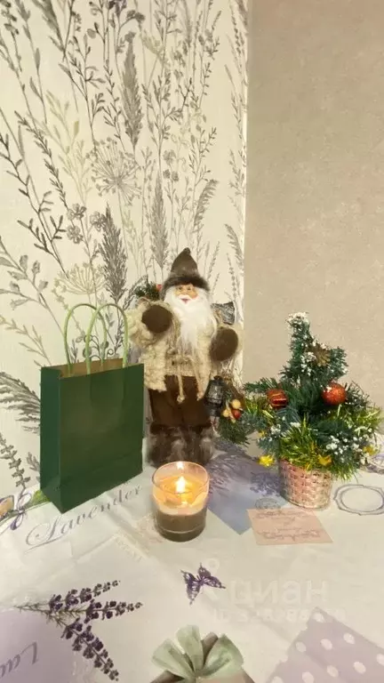 Студия Липецкая область, Липецк Левобережная ул., 1Б (20.0 м) - Фото 2