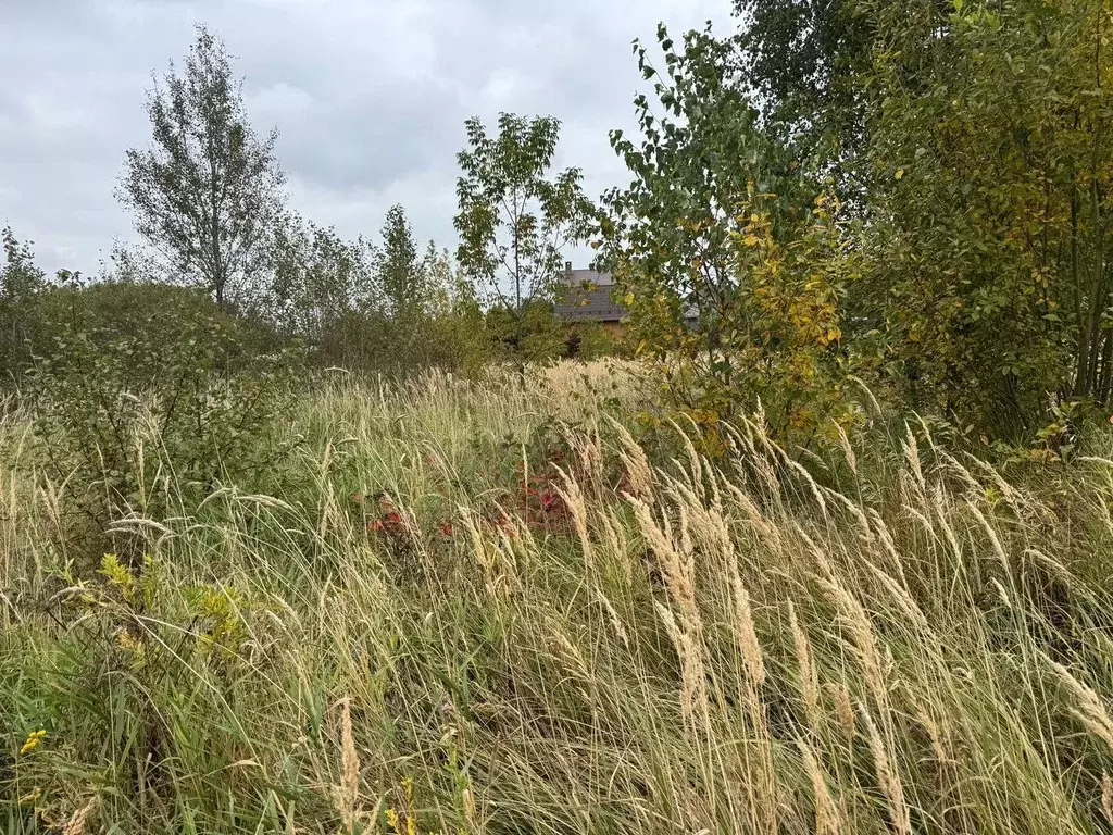 Участок в Московская область, Богородский городской округ, д. Новое ... - Фото 2