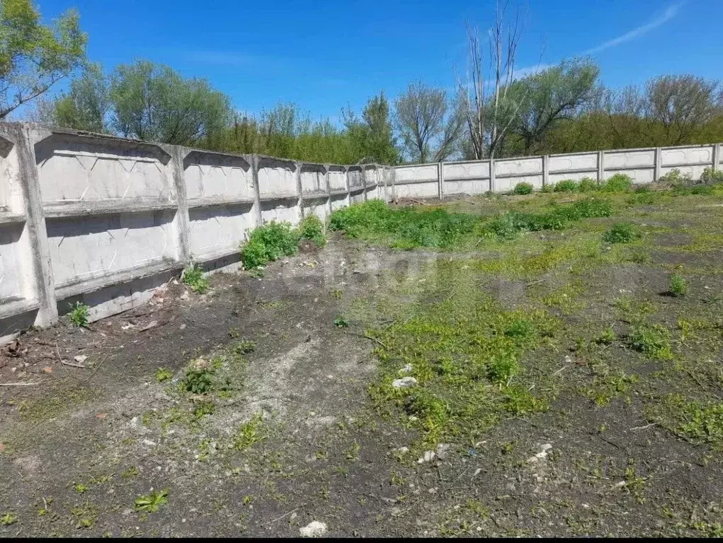 Участок в Воронежская область, Бутурлиновка ул. Розы Люксембург, 76 ... - Фото 1