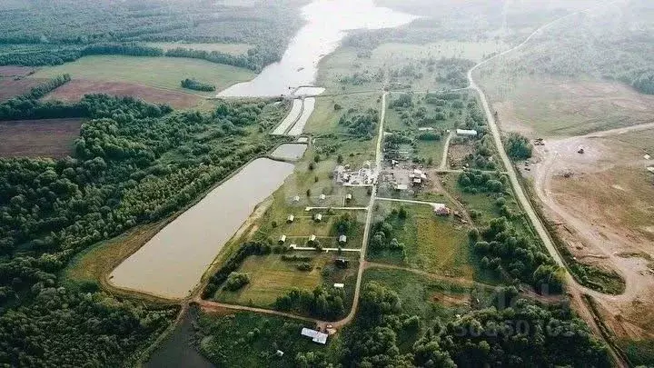Дом в Костромская область, Солигаличский муниципальный округ, д. ... - Фото 1