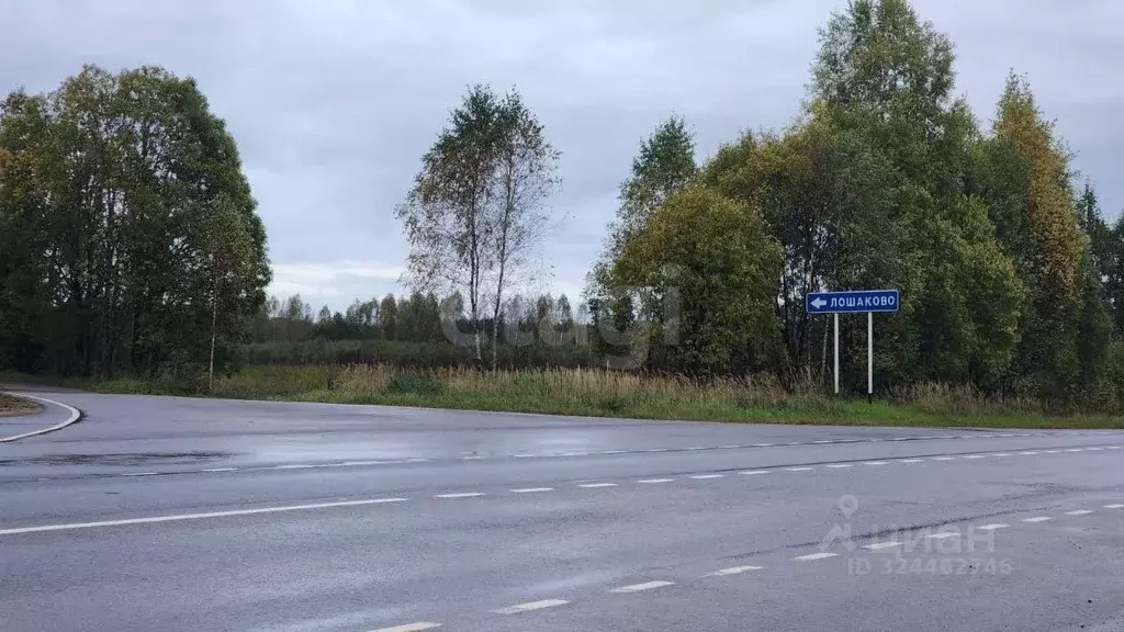 Дом в Тверская область, Селижаровский муниципальный округ, д. Лошаково ... - Фото 1