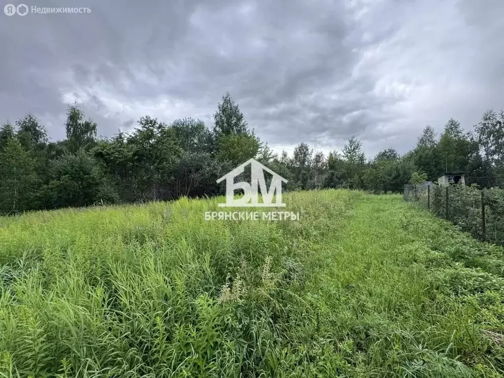 Участок в село Толмачево, СДТ Калинка, 189 (6 м) - Фото 1