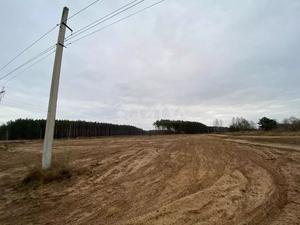 Участок в Калужская область, Малоярославецкий район, с. Детчино ул. ... - Фото 2
