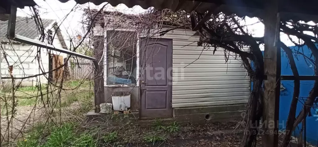 Дом в Белгородская область, Губкинский городской округ, с. ... - Фото 1