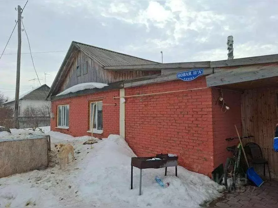 Коттедж в Омская область, Одесский район, с. Лукьяновка Новая ул., 11 ... - Фото 1