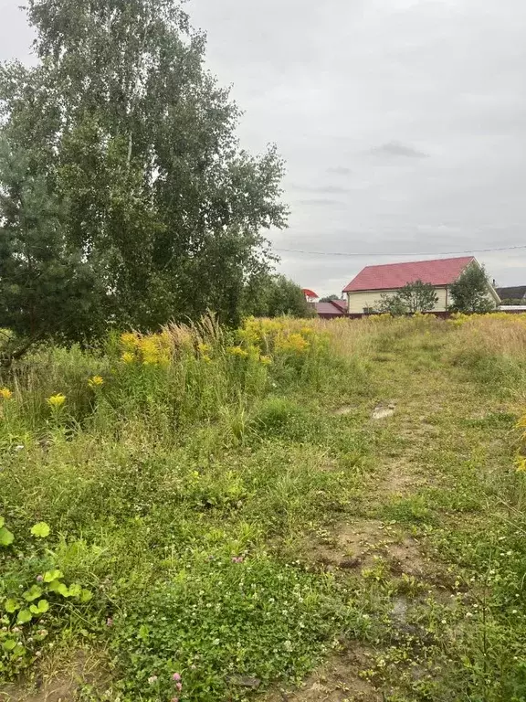 Участок в Псковская область, Великие Луки ул. Отрадная (6.0 сот.) - Фото 2