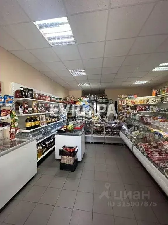 Торговая площадь в Ульяновская область, Ульяновск Камышинская ул., 83Г ... - Фото 0