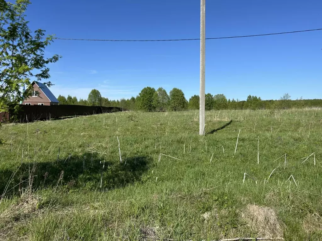 Участок в Владимирская область, Александровский район, ... - Фото 0